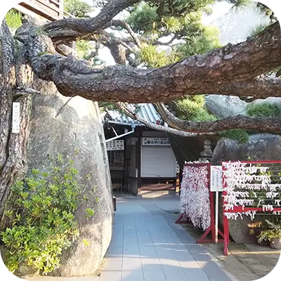 松が立派な神社